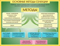 Стенд "Методы селекции и биотехнологии" - fgospostavki.ru - Югорск