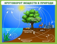 Стенд "Круговорот веществ" - fgospostavki.ru - Югорск