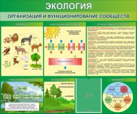 Стенд "Экология. Организация и функционирование сообществ" - fgospostavki.ru - Югорск