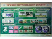 Электрифицированный стенд "Уровни организации жизни" - fgospostavki.ru - Югорск