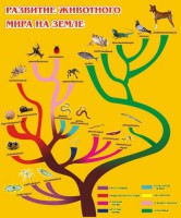 Стенд "Развитие животного мира на земле" - fgospostavki.ru - Югорск