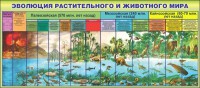 Стенд "Эволюция растительного и животного мира" - fgospostavki.ru - Югорск