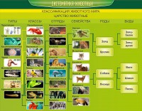 Стенд "Систематика животных" - fgospostavki.ru - Югорск