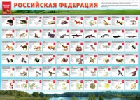 Стенд "Красная книга РФ" - fgospostavki.ru - Югорск