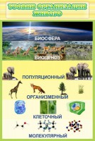 Стенд "Уровни организации живого" - fgospostavki.ru - Югорск