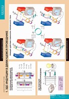 Комплект таблиц. Физика. Электромагнетизм. - fgospostavki.ru - Югорск