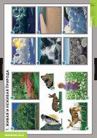 Комплект таблиц. Окружающий мир. Летние и осенние изменения в природе. - fgospostavki.ru - Югорск