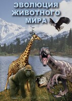 DVD "Эволюция животного мира" - fgospostavki.ru - Югорск