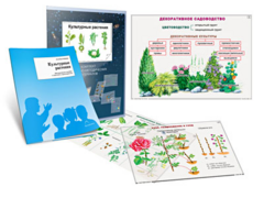 Комплект кодотранспарантов "Культурные растения" - fgospostavki.ru - Югорск