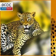 Зоология. (Цифровая база изображений) - fgospostavki.ru - Югорск