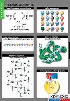 Комплект таблиц. Биология. Химия клетки. - fgospostavki.ru - Югорск