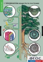 Комплект таблиц. Биология. Растение – живой организм. - fgospostavki.ru - Югорск