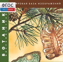 Ботаника. Микрофотографии. (Цифровая база изображений) - fgospostavki.ru - Югорск