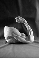 Рука согнутая в локте (гипс) - fgospostavki.ru - Югорск