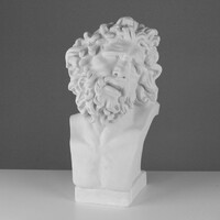 Бюст Лаокоона (гипс) - fgospostavki.ru - Югорск