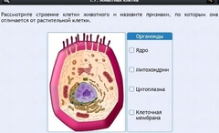 Интерактивные курсы. Биология 8 класс. Базовый - fgospostavki.ru - Югорск