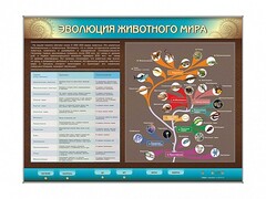 Интерактивный электрифицированный стенд "Эволюция животного мира" - fgospostavki.ru - Югорск