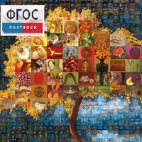 Начальная школа. Иностранный язык. (Цифровая база изображений) - fgospostavki.ru - Югорск