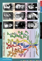 Комплект таблиц. Биология. Введение в экологию. - fgospostavki.ru - Югорск