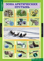 Комплект таблиц. Окружающий мир 4 класс. - fgospostavki.ru - Югорск