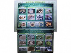 Комбинированный модульный комплекс "Лого-биолог" - fgospostavki.ru - Югорск