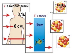 Модель-аппликация "Явление радиоактивности" (ламинированная) - fgospostavki.ru - Югорск
