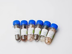 Набор № 6 ОС Щелочные и щелочноземельные металлы - fgospostavki.ru - Югорск