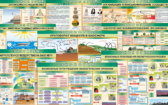 Комплект таблиц "Экология (9 листов)" (100х140 сантиметров, винил) - fgospostavki.ru - Югорск