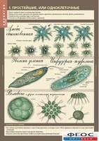 Комплект таблиц. Биология 7 класс. Животные. - fgospostavki.ru - Югорск