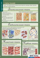 Комплект таблиц. Биология 8-9 класс. Человек. - fgospostavki.ru - Югорск