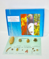 Коллекция "Шишки, плоды, семена деревьев и кустарников" - fgospostavki.ru - Югорск