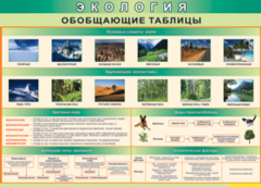 Таблица "Экология. Обобщающие таблицы" (100х140 сантиметров, винил) - fgospostavki.ru - Югорск