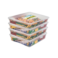 Набор для конструирования «Фанкластик: весь мир в руках твоих 4 (4-5 лет)» - fgospostavki.ru - Югорск