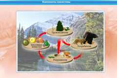 Интерактивные курсы. Биология 7 класс. Базовый. - fgospostavki.ru - Югорск