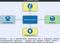 Интерактивные курсы. Биология 5 класс. Базовый - fgospostavki.ru - Югорск
