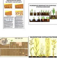 Плакаты ПРОФТЕХ "Агрономия" (5 пл, винил, 70х100) - fgospostavki.ru - Югорск