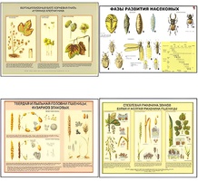 Плакаты ПРОФТЕХ "Вредители и болезни с/х культур и меры борьбы с ними" (11 пл, винил, 70х100) - fgospostavki.ru - Югорск