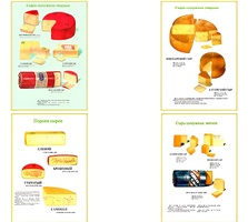 Плакаты ПРОФТЕХ "Ассортимент сыров" (9 пл, винил, 70х100) - fgospostavki.ru - Югорск