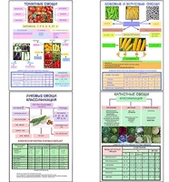 Плакаты ПРОФТЕХ "Классификация овощей" (11 пл, винил, 70х100) - fgospostavki.ru - Югорск