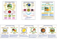 Плакаты ПРОФТЕХ "Плоды" (6 пл, винил, 70х100) - fgospostavki.ru - Югорск