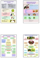 Плакаты ПРОФТЕХ "Классификация овощей и переработка" (8 пл, винил, 70х100) - fgospostavki.ru - Югорск