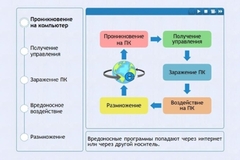 Интерактивные курсы. Информатика 10 класс . Базовый. - fgospostavki.ru - Югорск