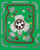 Модель-аппликация "Строение клетки" (набор из 54 пластмассовых фигур) - fgospostavki.ru - Югорск