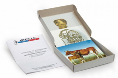 Модель-аппликация "Цикл развития бычьего цепня" (набор из 7 карт) - fgospostavki.ru - Югорск