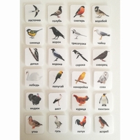 Набор карточек "ПТИЦЫ" - fgospostavki.ru - Югорск