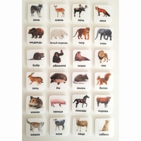 Набор карточек "ЖИВОТНЫЕ" - fgospostavki.ru - Югорск