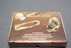 Коллекция "Формы сохранности ископаемых растений и животных" - fgospostavki.ru - Югорск