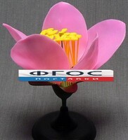 Модель "Цветок персика" - fgospostavki.ru - Югорск