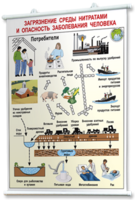 Плакаты по общей экологии для оформления кабинета. - fgospostavki.ru - Югорск