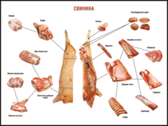 Таблица "Правила разделки мясных туш. Свинина" (100х140 сантиметров. винил) - fgospostavki.ru - Югорск